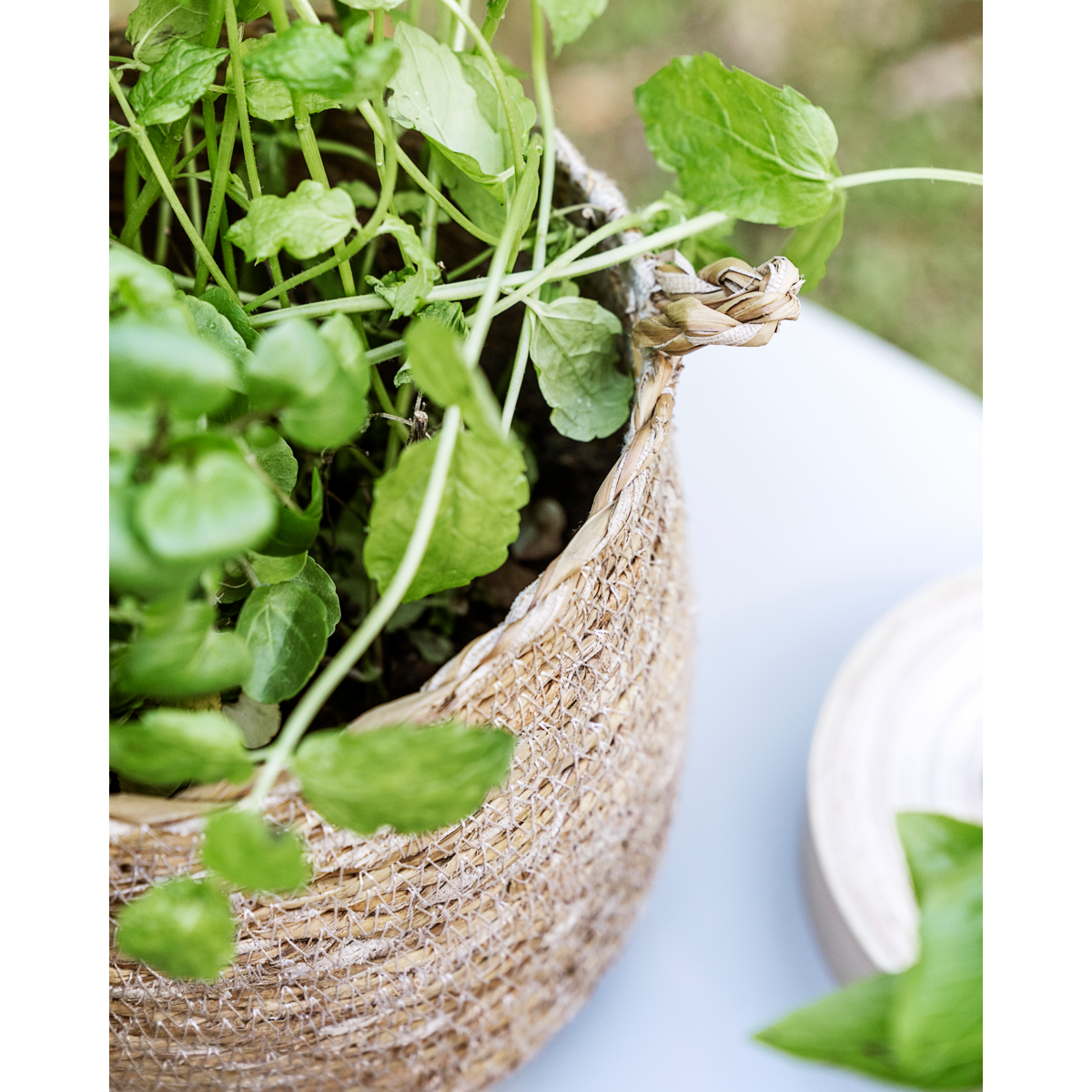 Basket, hdhang, nature