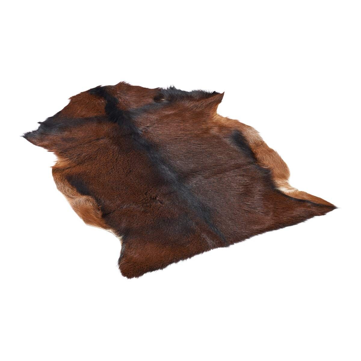 Goatskin | Short Hair | Tibet | 90x60 cm