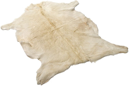 Goatskin | Short Hair | Tibet | 90x60 cm