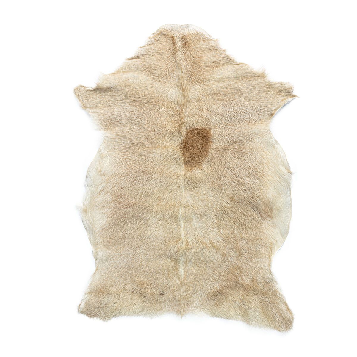 Goatskin | Short Hair | Tibet | 90x60 cm