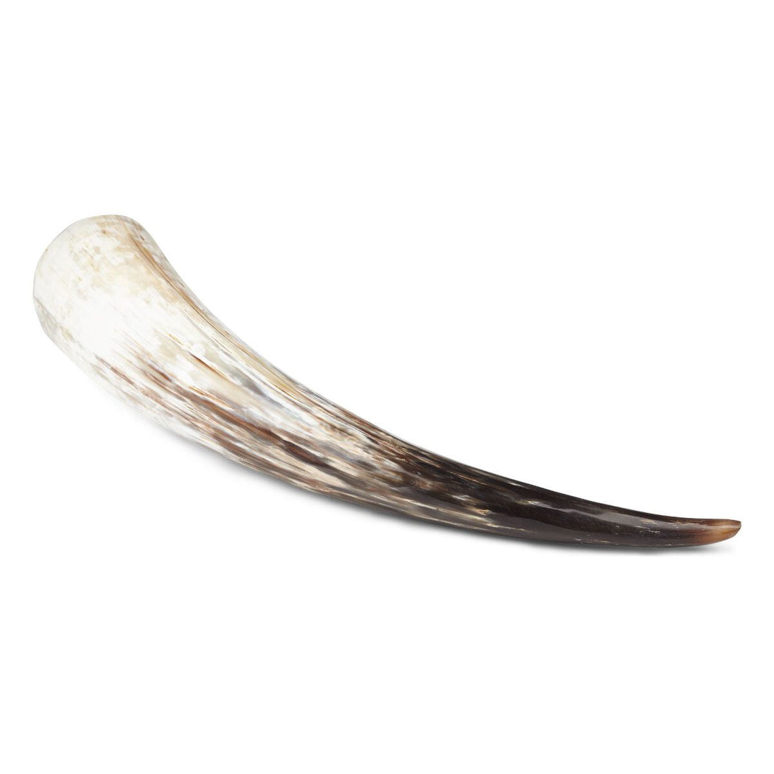 Horn | South African | Cow | Polished