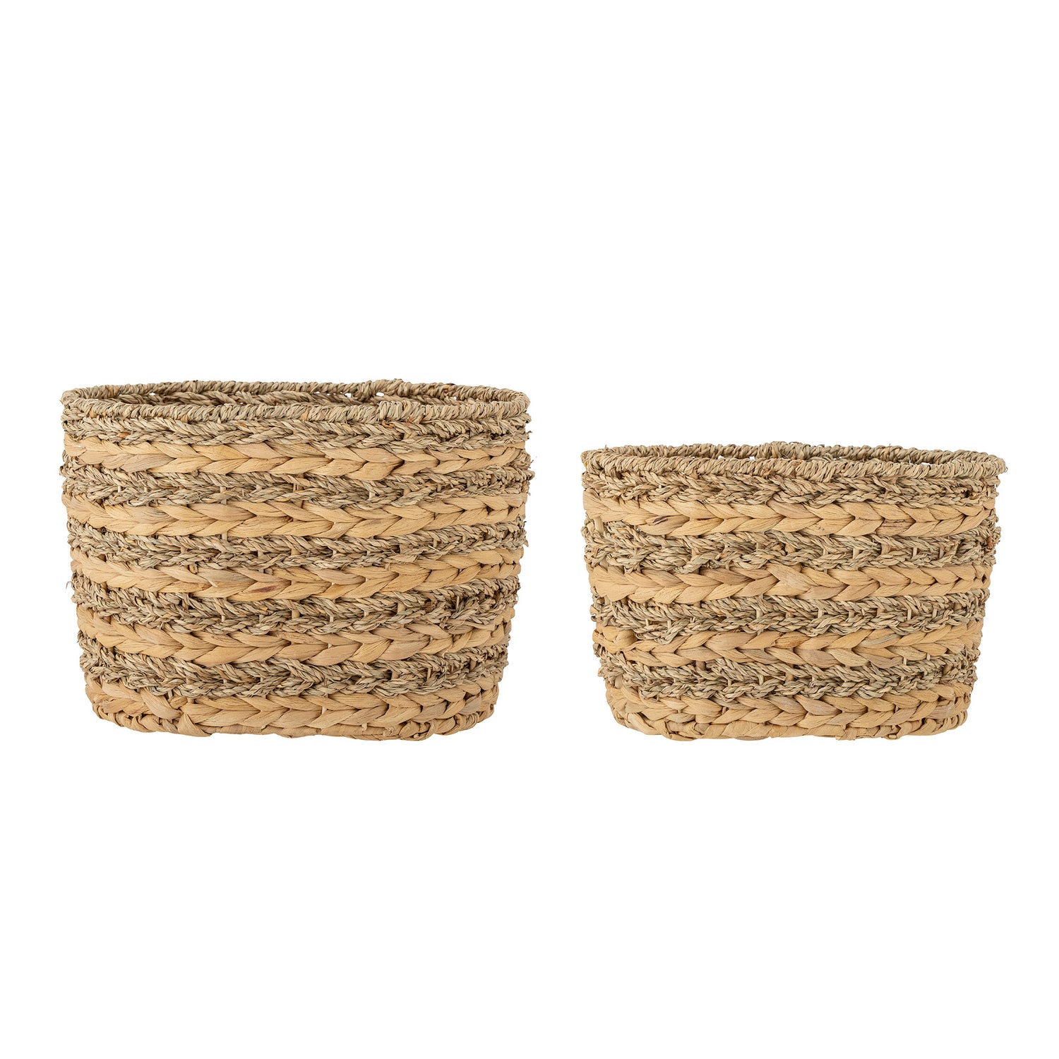 Indra basket, nature, water hyacinth