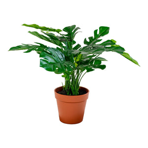 Monstera - Kunstig plante, grøn, 45 cm - House Nordic - DesignGaragen.dk