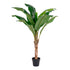 Banan Palme - Kunstig plante, grøn, 150 cm - House Nordic - DesignGaragen.dk